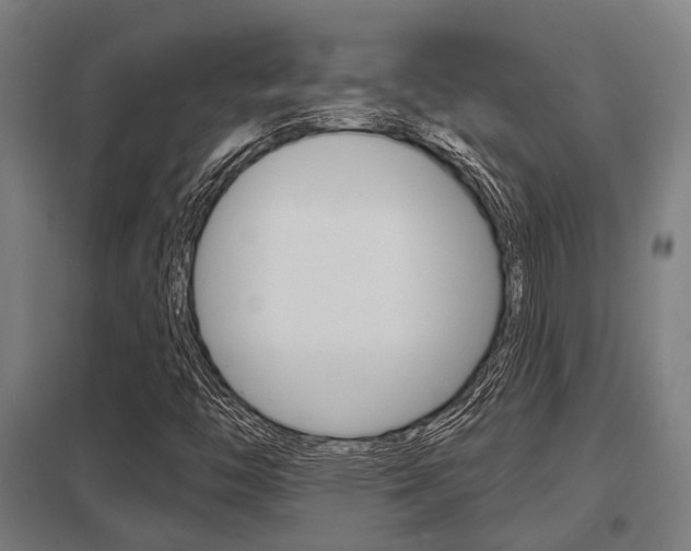 X0000098031446200803280719
