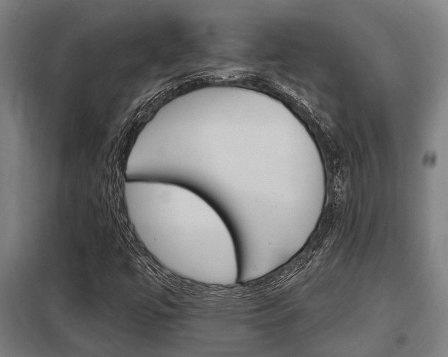 X0000098031447200803280719