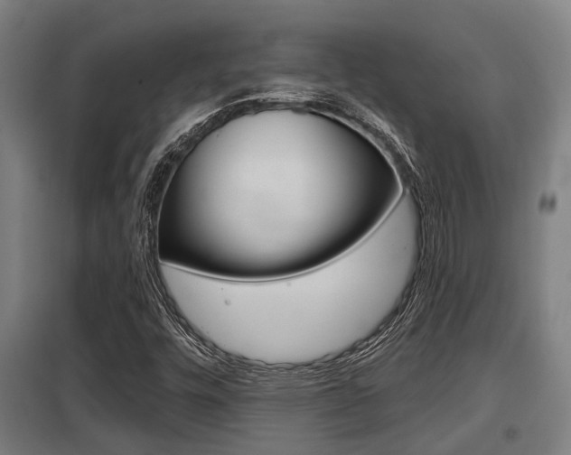 X0000098031448200803280719