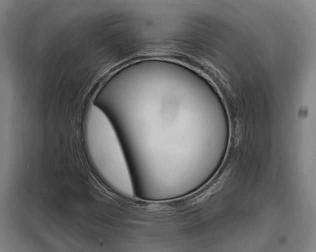 X0000098031449200803280719
