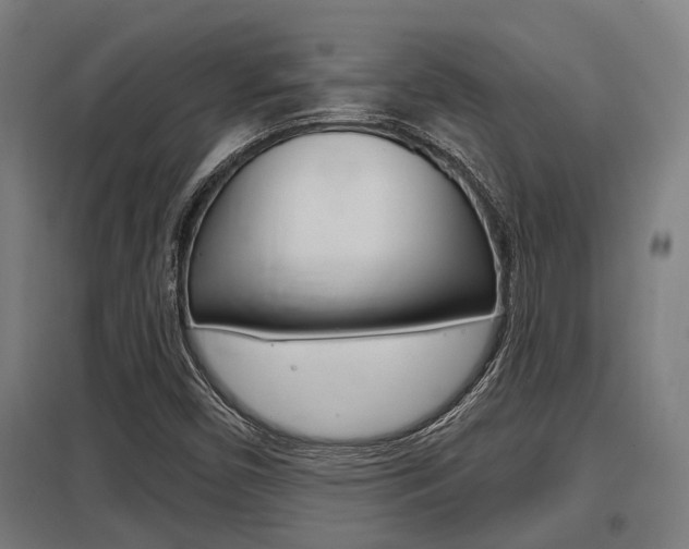 X0000098031450200803280719