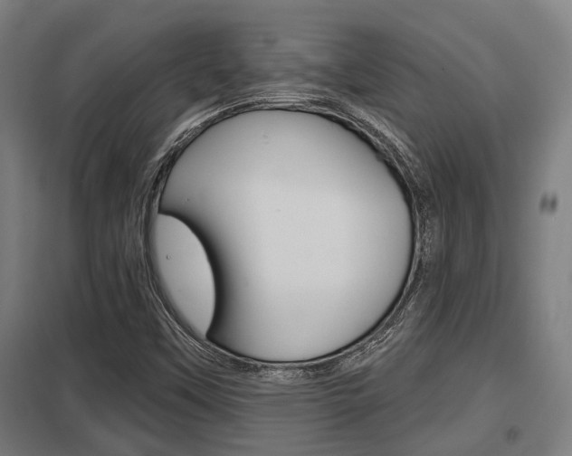X0000098031451200803280719