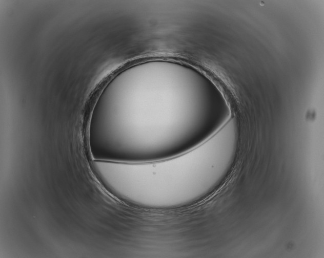 X0000098031452200803280719