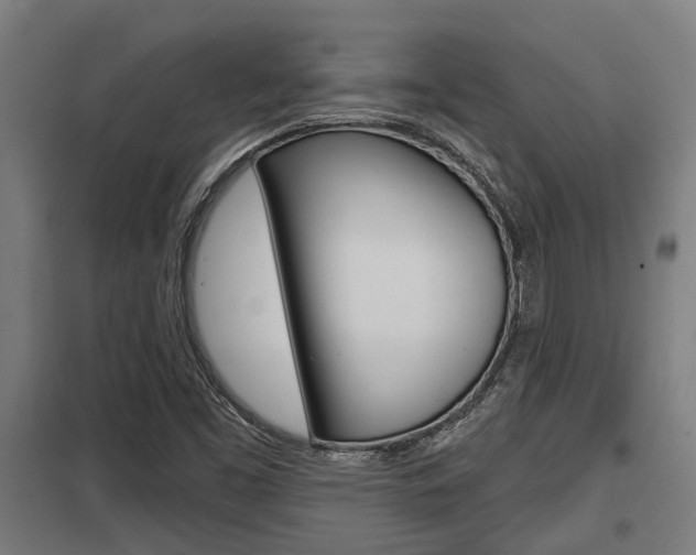 X0000098031453200803280719