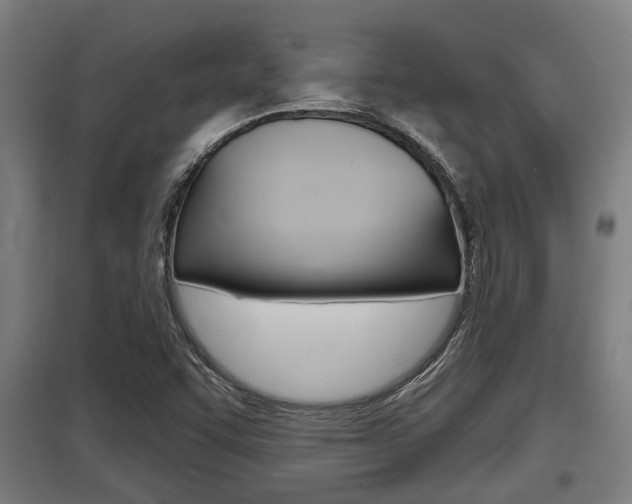 X0000098031455200803280719