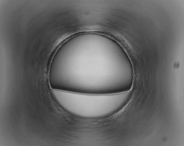 X0000098031457200803280719
