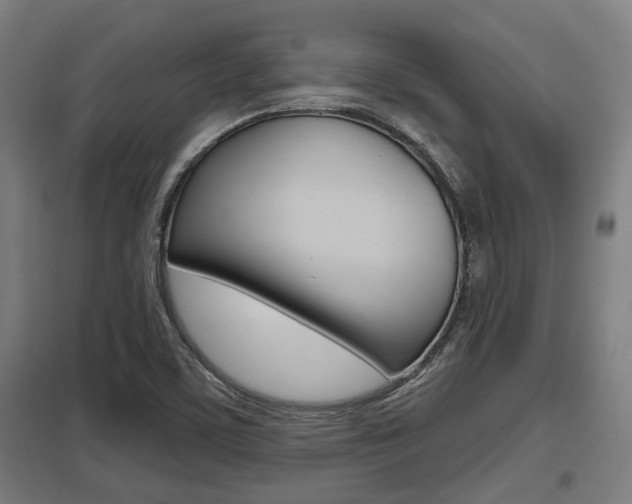 X0000098031459200803280719