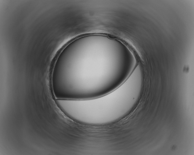X0000098031460200803280719