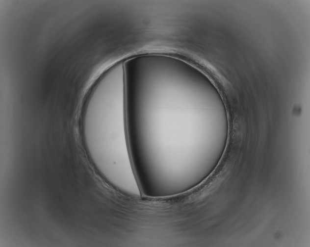 X0000098031461200803280719