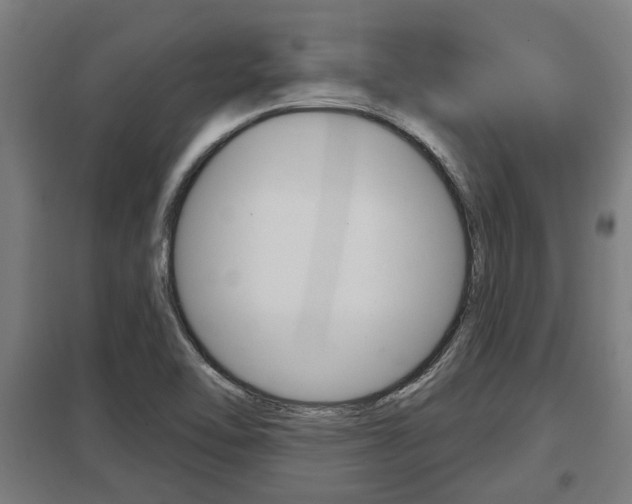 X0000098031462200803280719