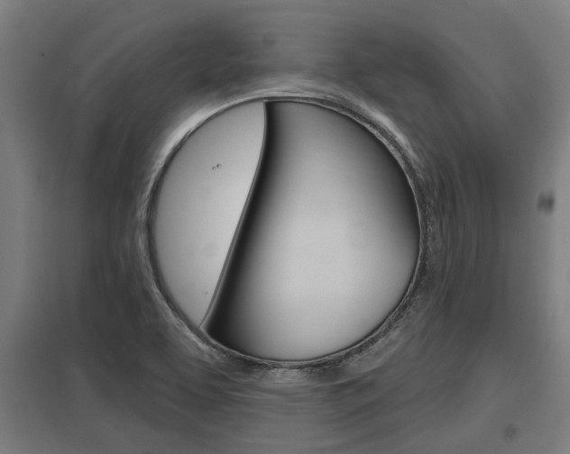 X0000098031463200803280719