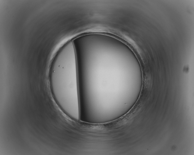 X0000098031464200803280719