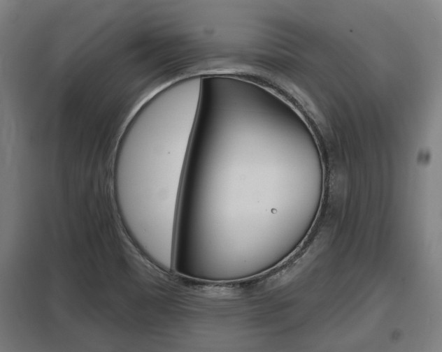 X0000098031465200803280719