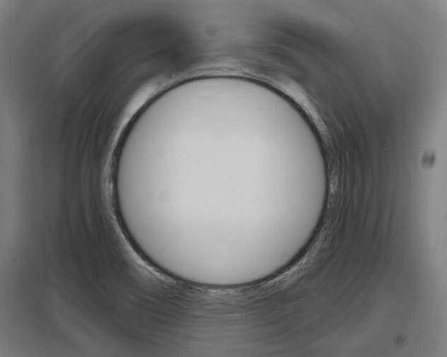 X0000098031466200803280719