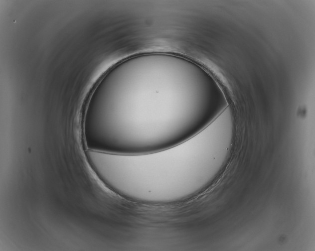 X0000098031468200803280719