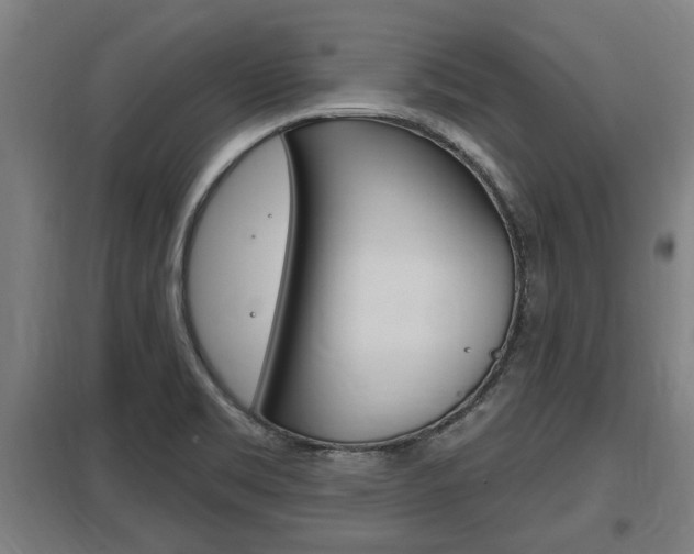 X0000098031469200803280719