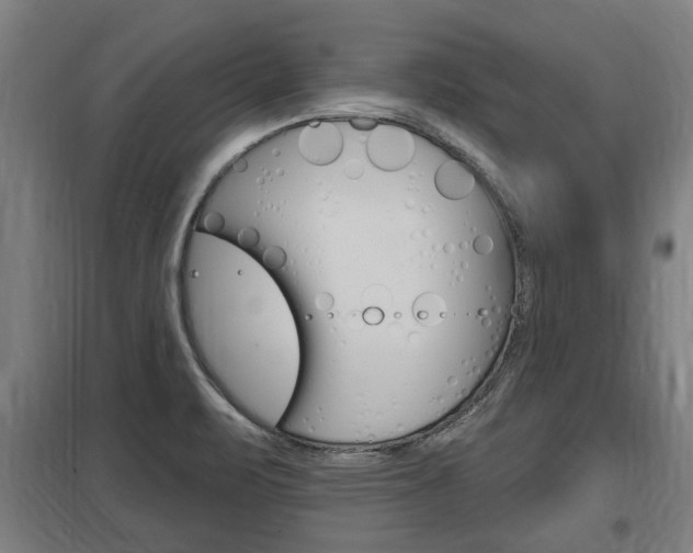 X0000098031471200803280719