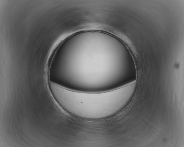 X0000098031472200803280719