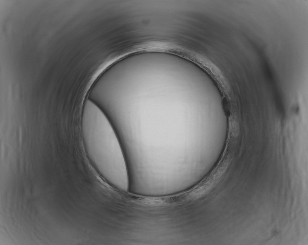 X0000098031473200803280719