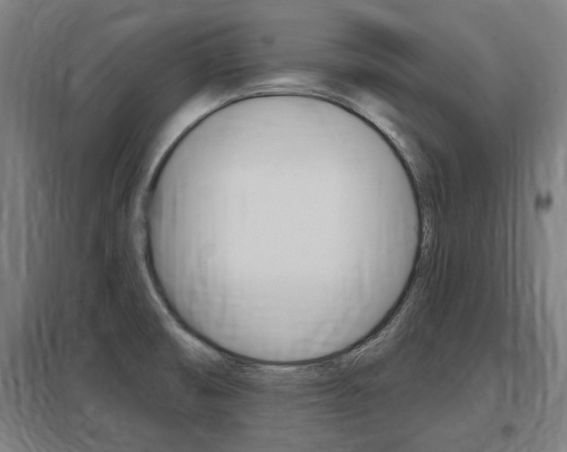 X0000098031474200803280719