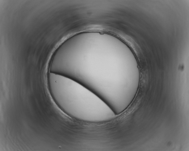 X0000098031475200803280719
