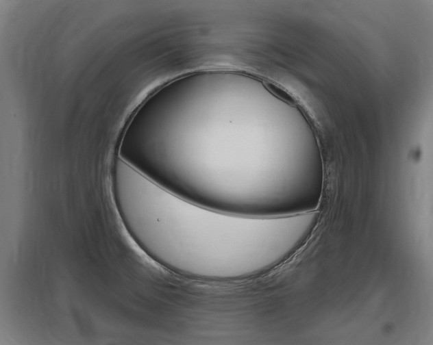 X0000098031476200803280719