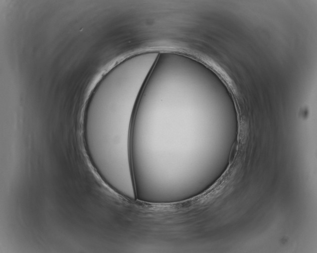 X0000098031477200803280719