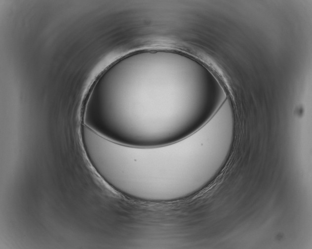 X0000098031480200803280719