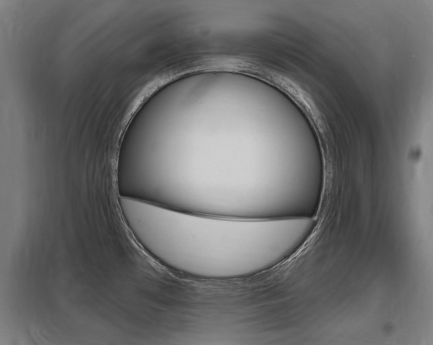 X0000098031481200803280719