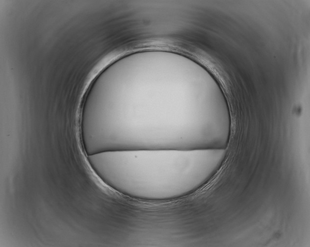 X0000098031482200803280719