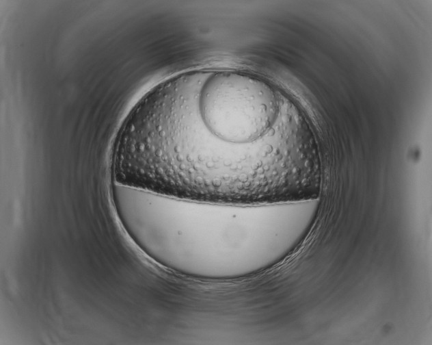 X0000098031483200803280719