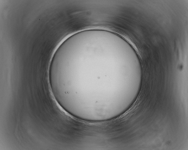 X0000098031484200803280719