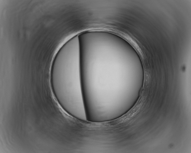 X0000098031485200803280719