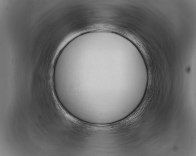 X0000098031486200803280719
