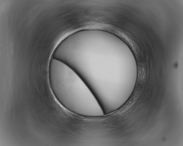 X0000098031487200803280719