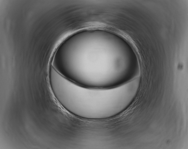 X0000098031488200803280719