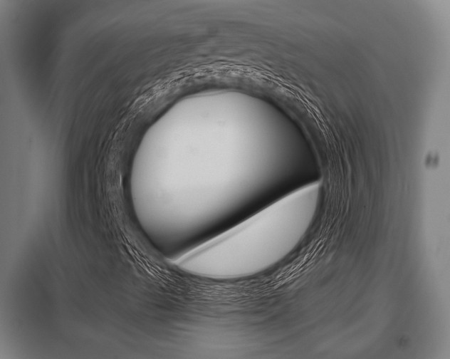 X0000098031489200803280718