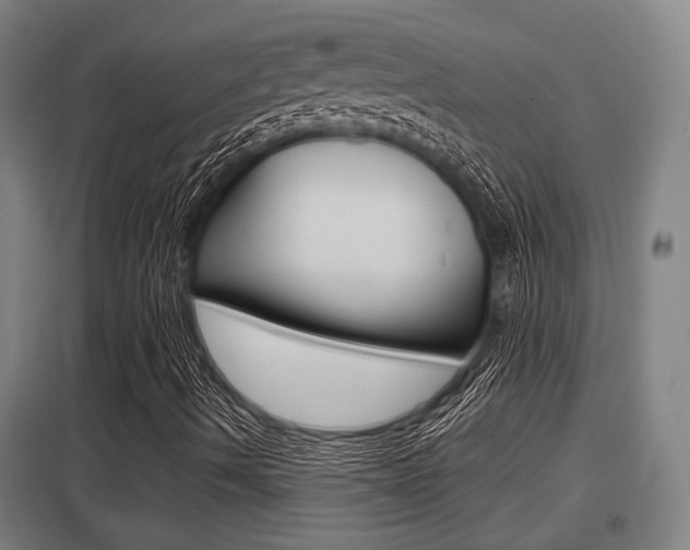 X0000098031490200803280718