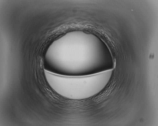 X0000098031492200803280718