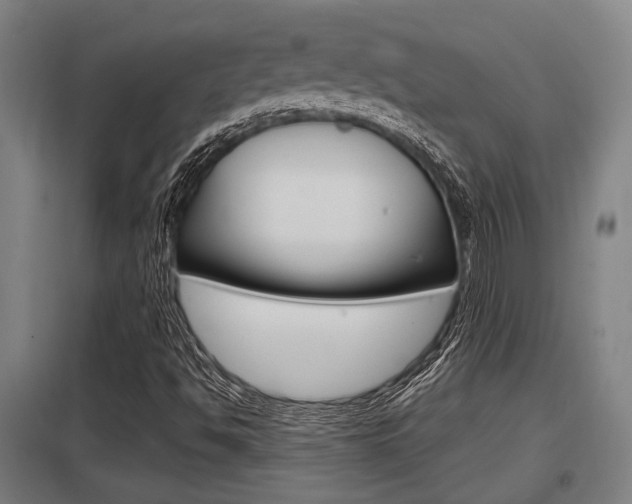 X0000098031494200803280718