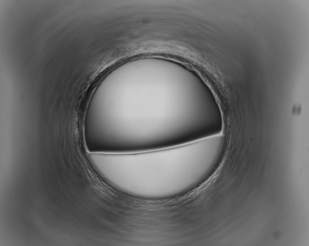 X0000098031497200803280718