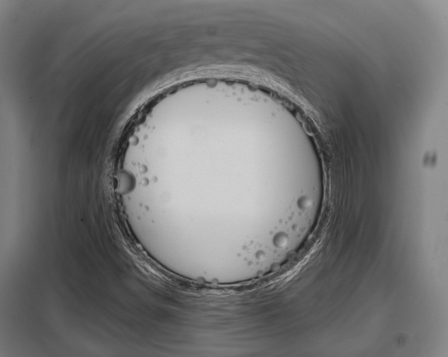 X0000098031498200803280718