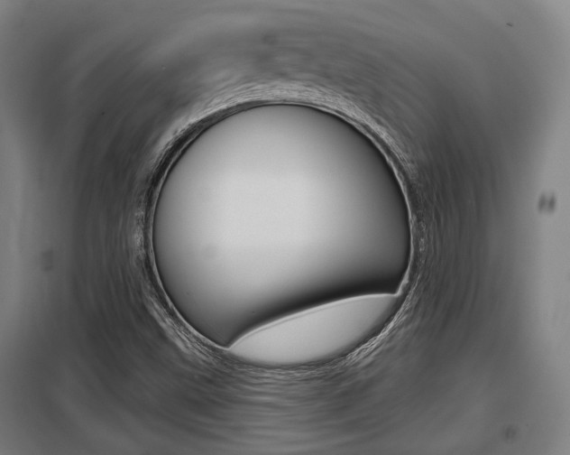 X0000098031499200803280718