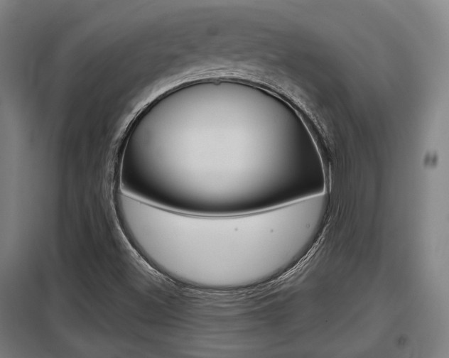 X0000098031500200803280718
