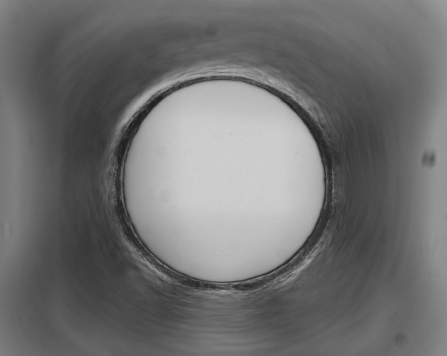 X0000098031502200803280718
