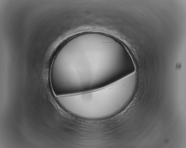 X0000098031503200803280718