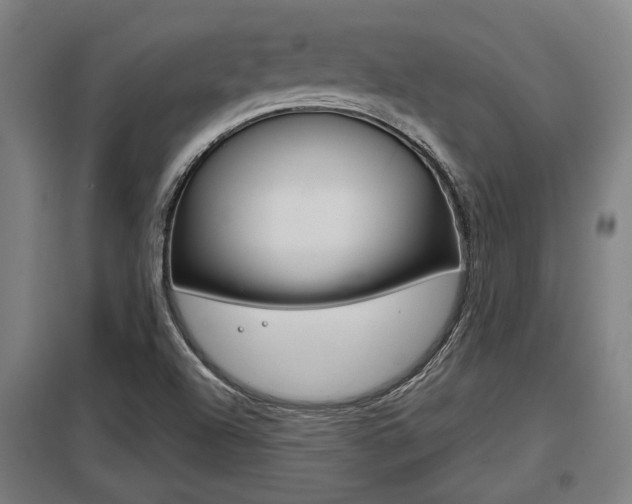 X0000098031504200803280718