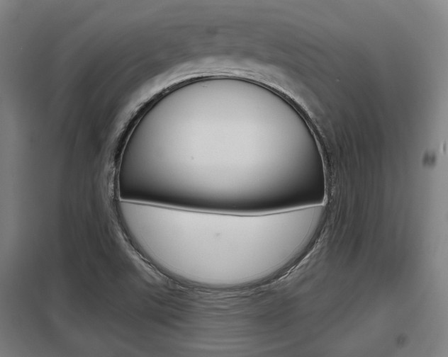 X0000098031507200803280718