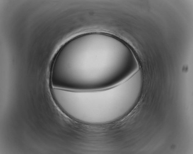 X0000098031508200803280718