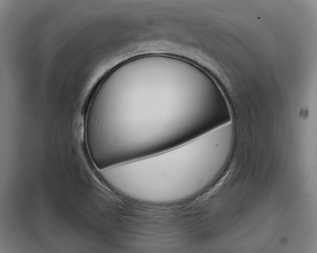 X0000098031509200803280718
